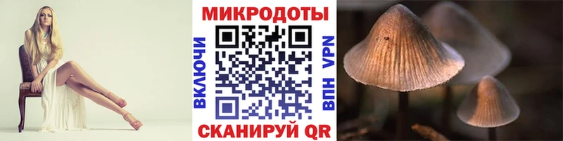 Купить где  Куртамыш  Псилоцибиновые грибы Psilocybine cubensis 